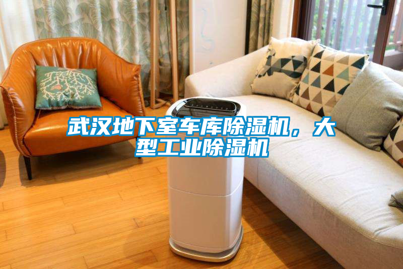 武漢地下室車庫除濕機，大型工業除濕機