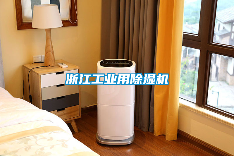 浙江工業用除濕機