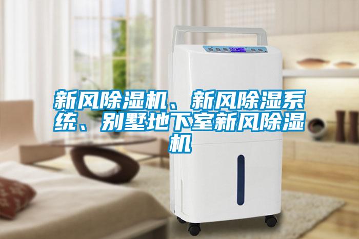 新風(fēng)除濕機、新風(fēng)除濕系統(tǒng)、別墅地下室新風(fēng)除濕機