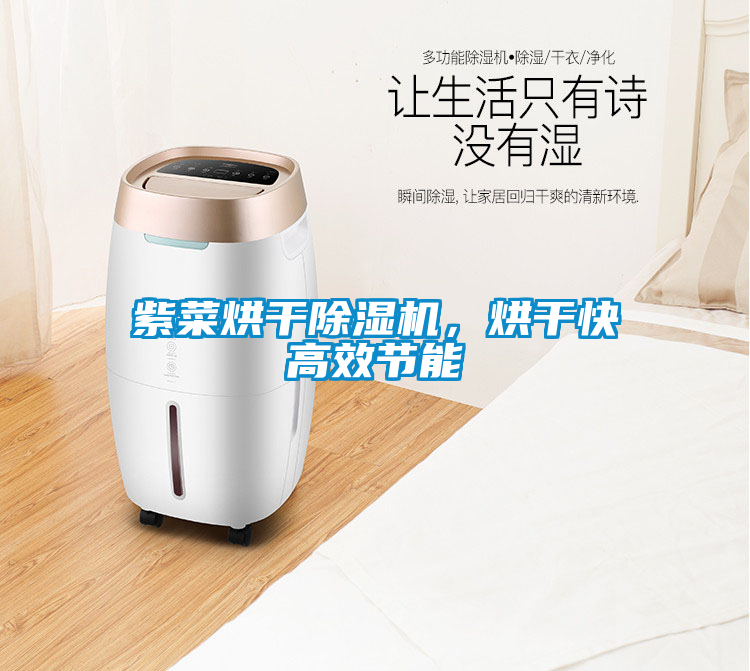 紫菜烘干除濕機，烘干快高效節能