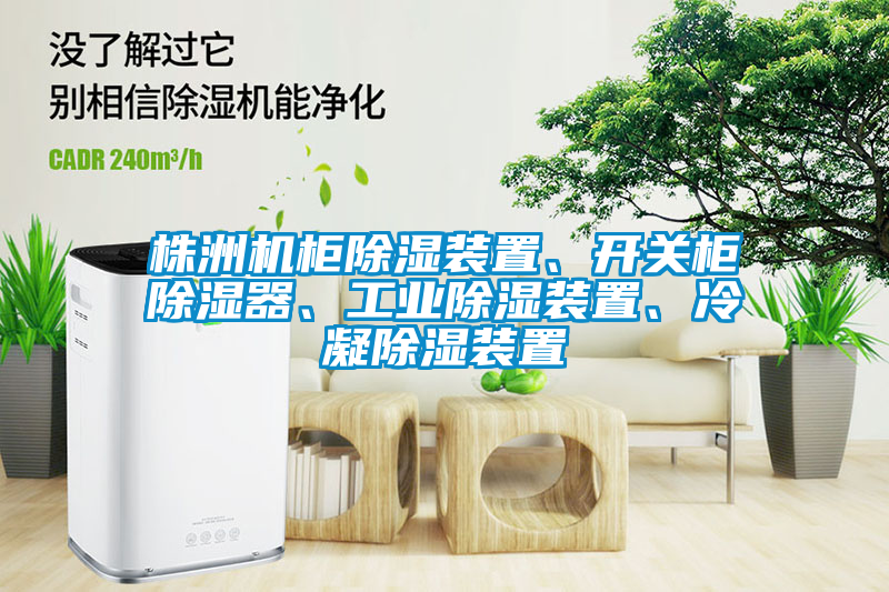 株洲機(jī)柜除濕裝置、開關(guān)柜除濕器、工業(yè)除濕裝置、冷凝除濕裝置