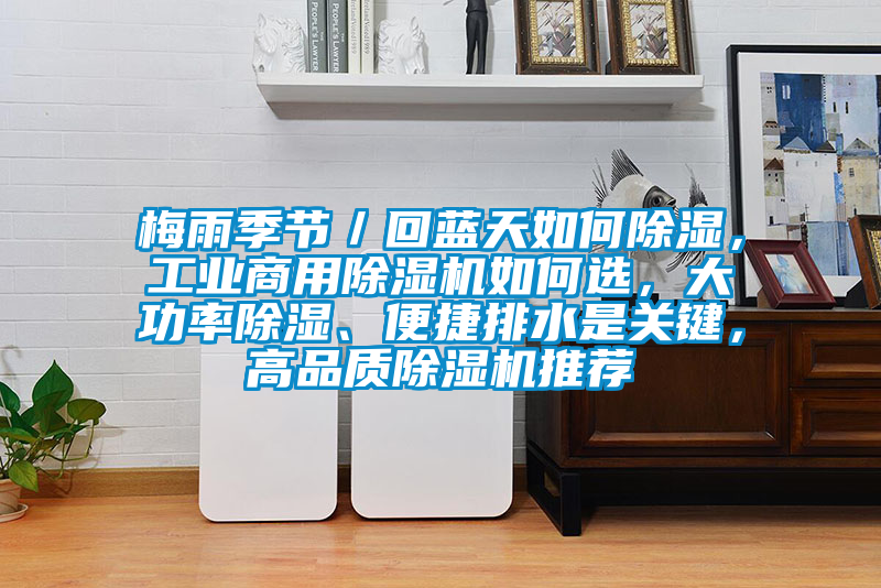 梅雨季節(jié)/回藍天如何除濕,工業(yè)商用除濕機如何選,大功率除濕、便捷排水是關(guān)鍵,高品質(zhì)除濕機推薦