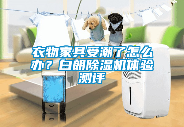 衣物家具受潮了怎么辦？白朗除濕機體驗測評