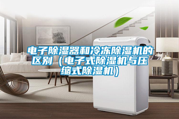 電子除濕器和冷凍除濕機的區別(電子式除濕機與壓縮式除濕機)