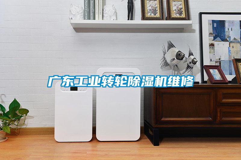 廣東工業轉輪除濕機維修