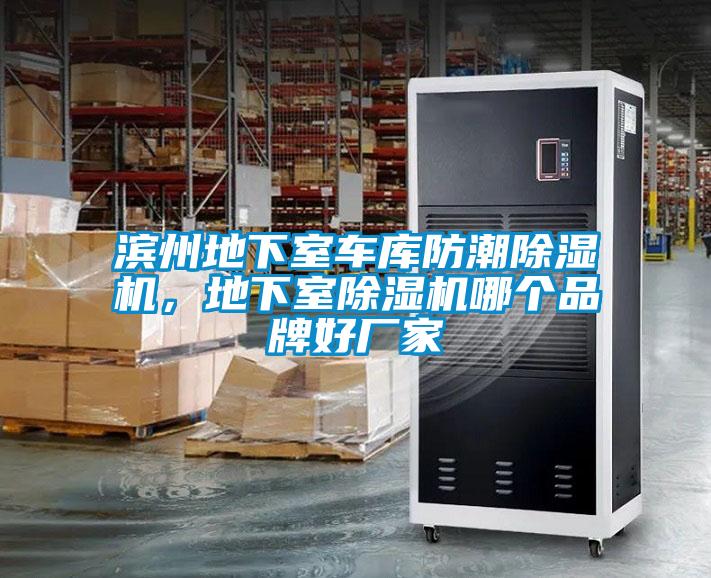 濱州地下室車庫(kù)防潮除濕機(jī)，地下室除濕機(jī)哪個(gè)品牌好廠家
