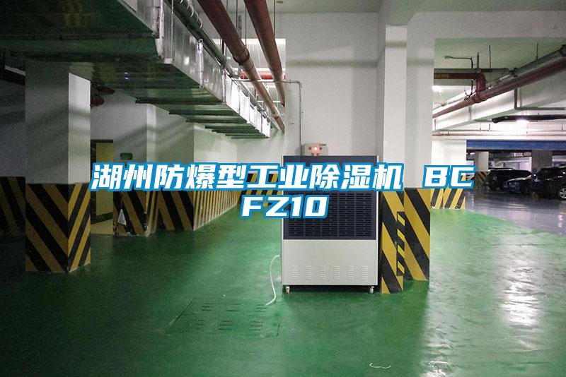 湖州防爆型工業除濕機 BCFZ10