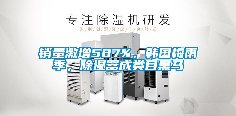 銷量激增587%，韓國(guó)梅雨季，除濕器成類目黑馬