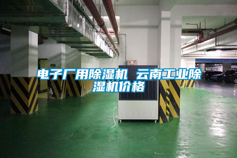 電子廠用除濕機 云南工業除濕機價格