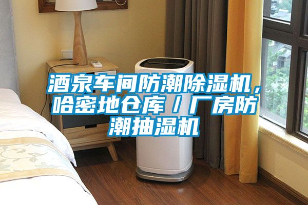 酒泉車間防潮除濕機，哈密地倉庫／廠房防潮抽濕機