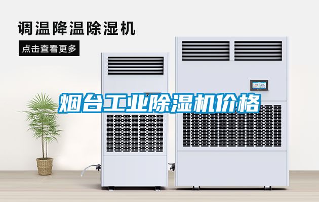 煙臺工業除濕機價格