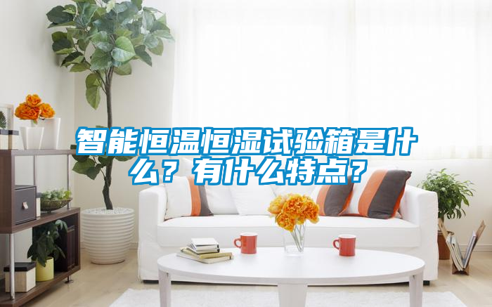 智能恒溫恒濕試驗箱是什么？有什么特點？