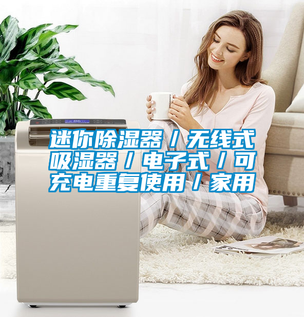 迷你除濕器/無(wú)線式吸濕器/電子式/可充電重復(fù)使用/家用