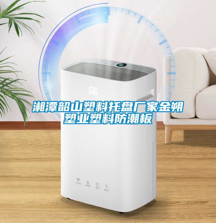 湘潭韶山塑料托盤廠家金朔塑業塑料防潮板