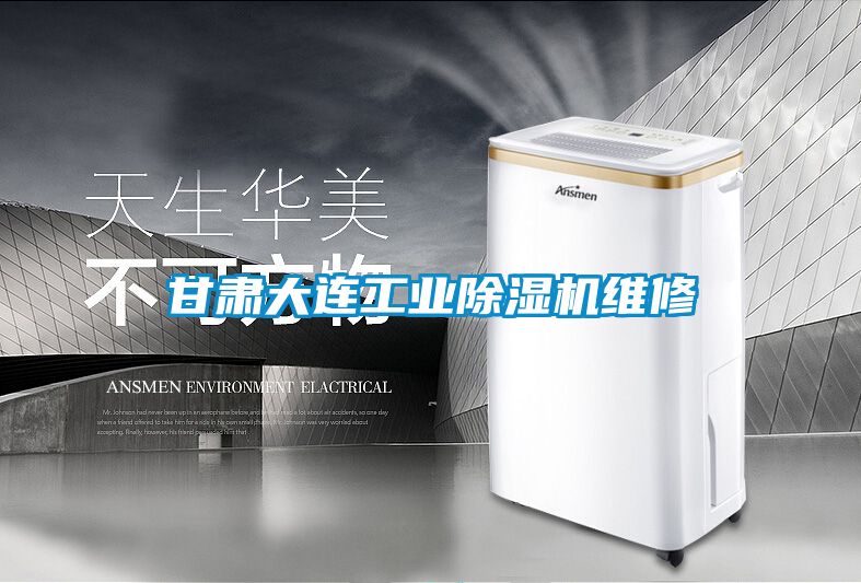甘肅大連工業除濕機維修
