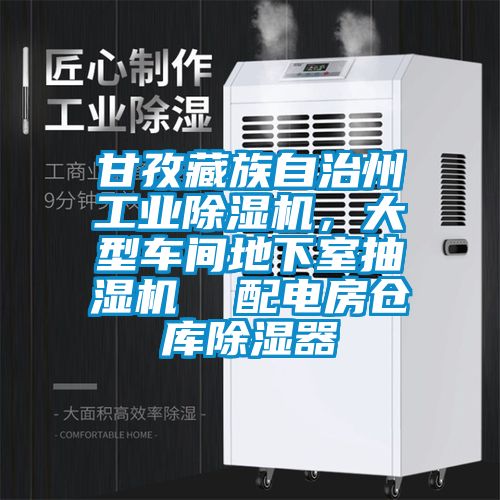 甘孜藏族自治州工業(yè)除濕機(jī)，大型車(chē)間地下室抽濕機(jī)  配電房倉(cāng)庫(kù)除濕器