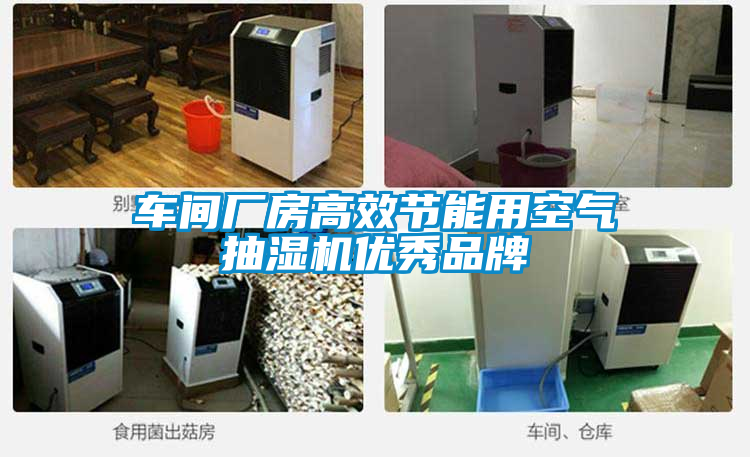 車間廠房高效節能用空氣抽濕機優秀品牌