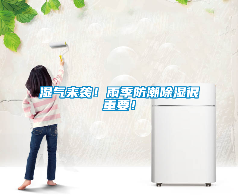 濕氣來襲!雨季防潮除濕很重要!