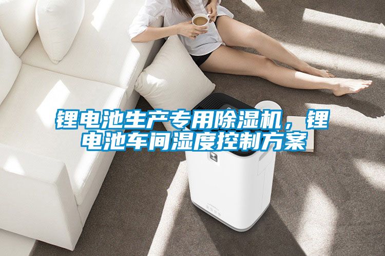 鋰電池生產(chǎn)專用除濕機，鋰電池車間濕度控制方案