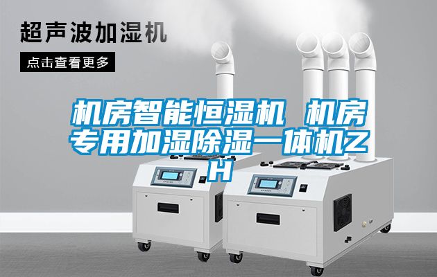 機房智能恒濕機 機房專用加濕除濕一體機ZH