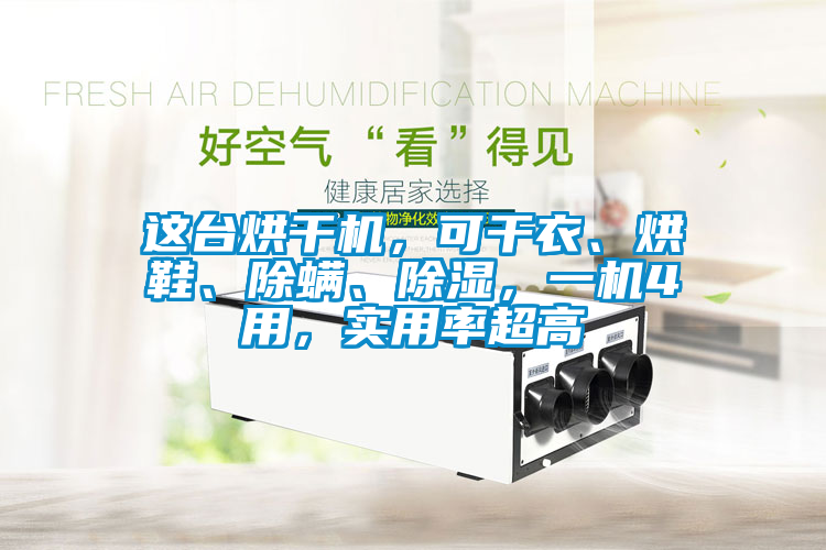 這臺烘干機，可干衣、烘鞋、除螨、除濕，一機4用，實用率超高