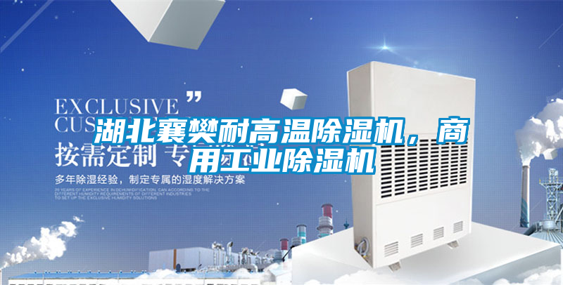 湖北襄樊耐高溫除濕機,商用工業除濕機