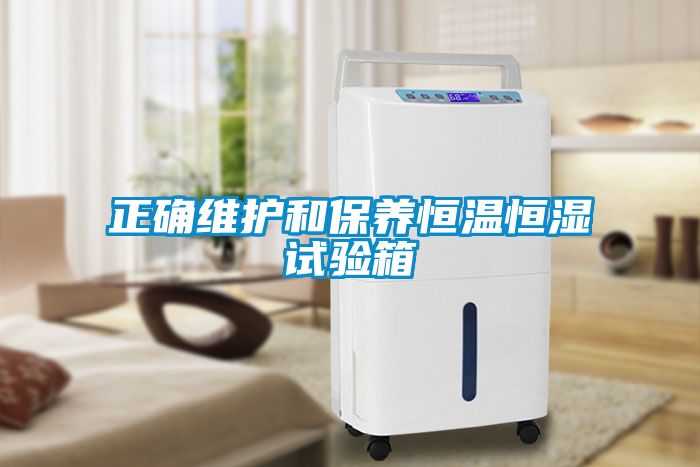正確維護和保養恒溫恒濕試驗箱