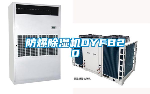 防爆除濕機DYFB20