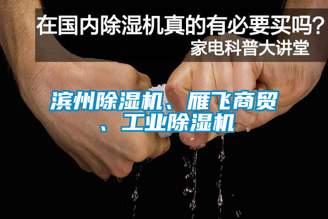 濱州除濕機(jī)、雁飛商貿(mào)、工業(yè)除濕機(jī)