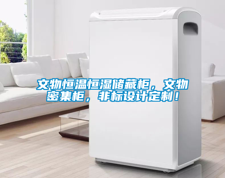 文物恒溫恒濕儲藏柜，文物密集柜，非標(biāo)設(shè)計定制！