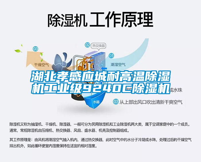 湖北孝感應城耐高溫除濕機工業級9240C除濕機