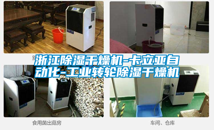 浙江除濕干燥機-卡立亞自動化-工業(yè)轉輪除濕干燥機