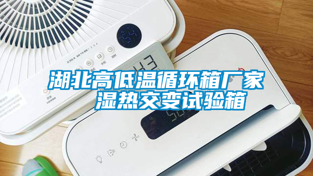 湖北高低溫循環箱廠家  濕熱交變試驗箱