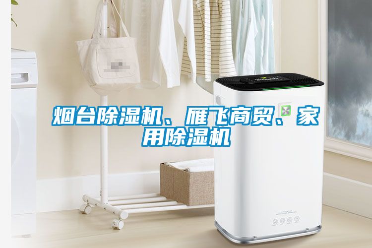 煙臺(tái)除濕機(jī)、雁飛商貿(mào)、家用除濕機(jī)