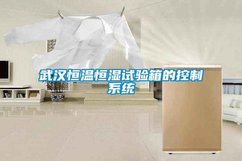 武漢恒溫恒濕試驗箱的控制系統