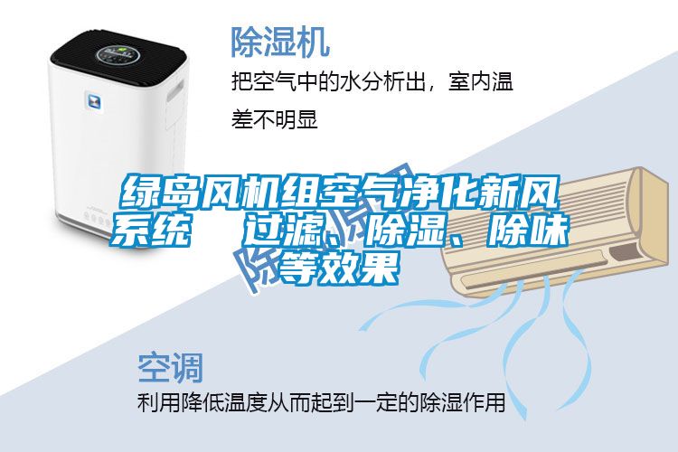 綠島風機組空氣凈化新風系統(tǒng)  過濾、除濕、除味等效果