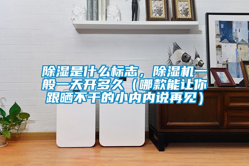 除濕是什么標(biāo)志，除濕機一般一天開多久（哪款能讓你跟曬不干的小內(nèi)內(nèi)說再見）