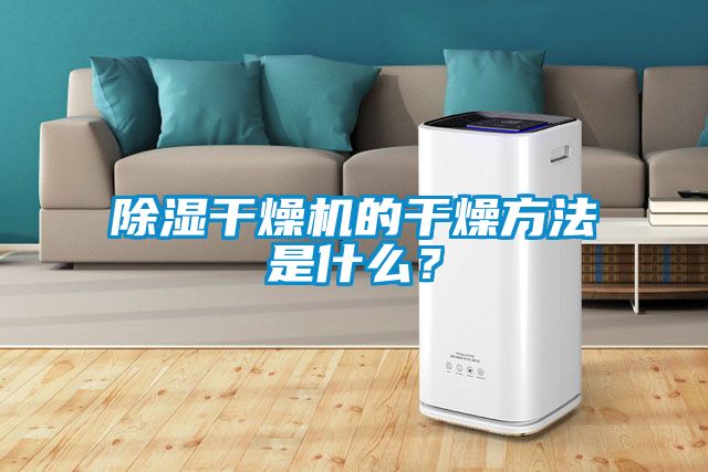 除濕干燥機的干燥方法是什么？
