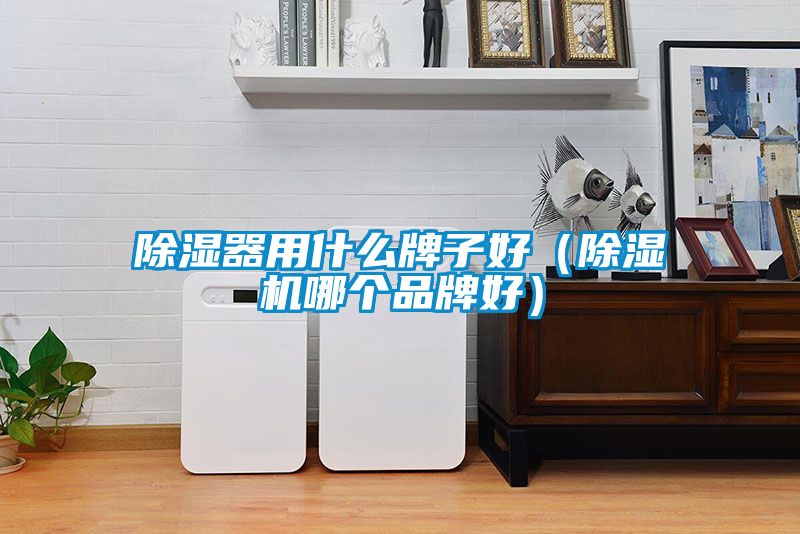 除濕器用什么牌子好(除濕機(jī)哪個(gè)品牌好)