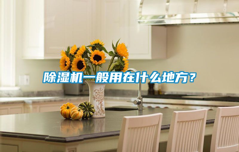 除濕機一般用在什么地方？