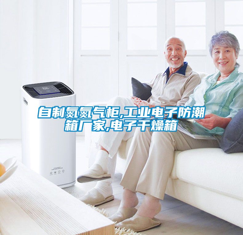 自制氮氮?dú)夤?工業(yè)電子防潮箱廠(chǎng)家,電子干燥箱