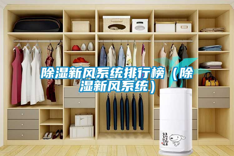 除濕新風系統排行榜(除濕新風系統)