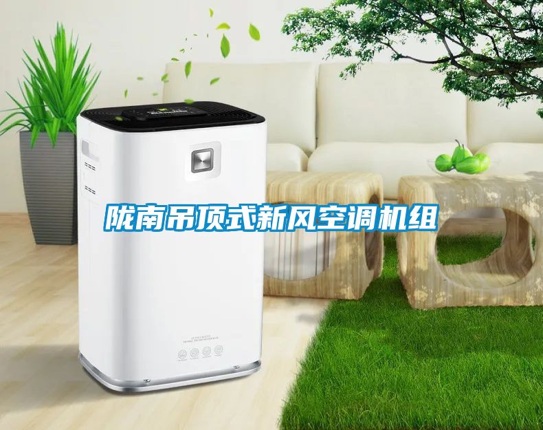隴南吊頂式新風空調機組